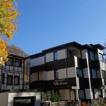 Pension Villa Irene باد هازبرغ المظهر الخارجي الصورة